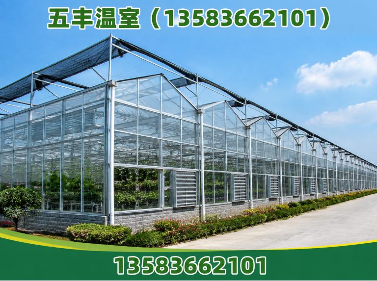 奎文区温室工程展示图